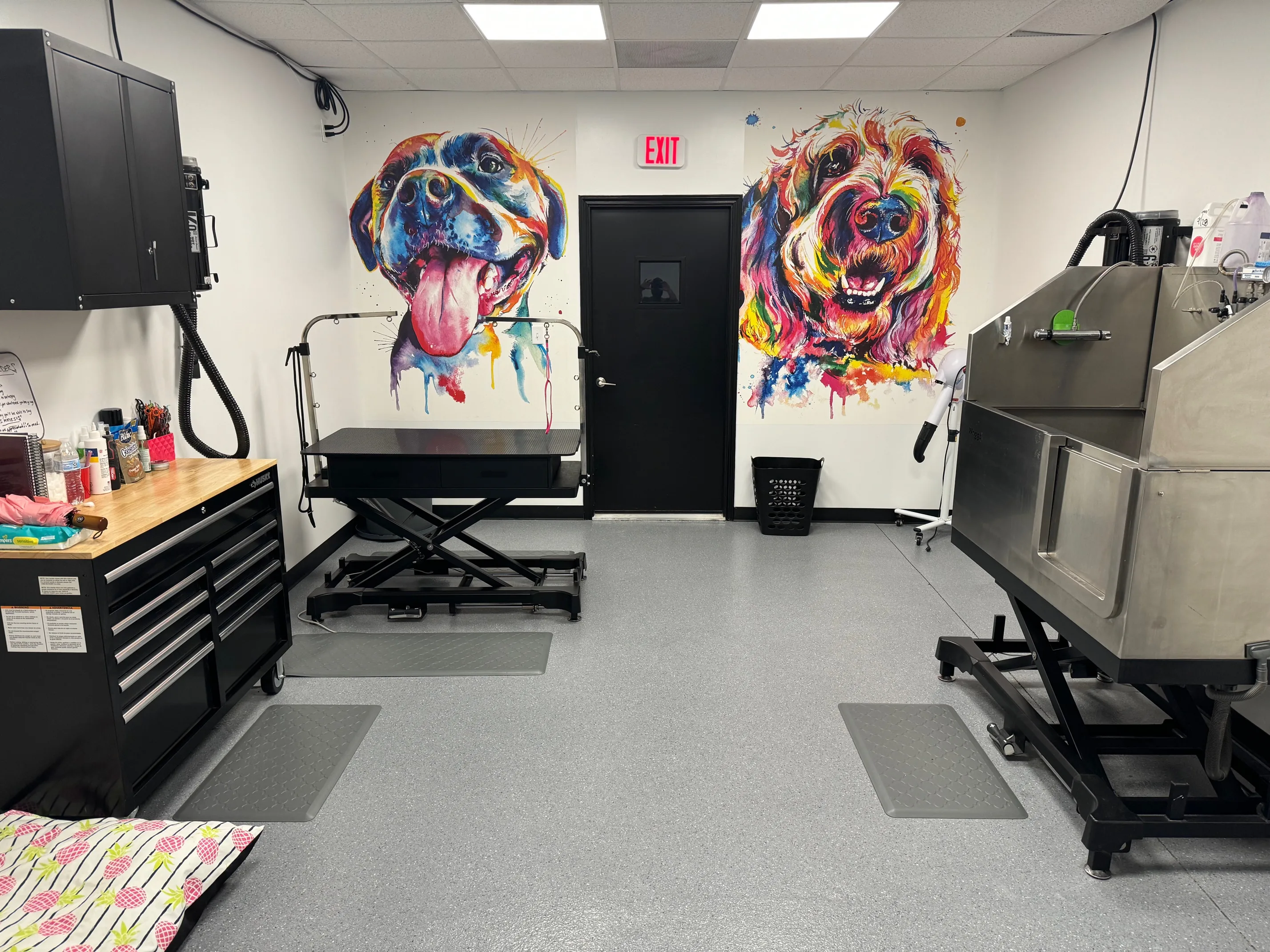K9 Clubhouse grooming room with colorful dog murals